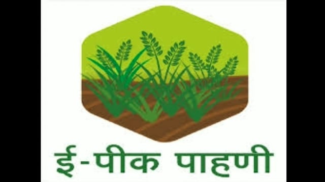 ई पीक पाहणी ॲप द्वारे आपल्या पिकाची नोंदणी करण्याचे आटपाडी तहसीलदार यांचे आवाहन #tahasilatp