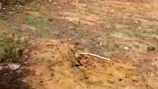 भू माफियाओं की सेटिंग हो सकती है फेल