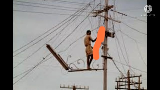 फुल्लीडुमर विद्युत आपूर्ति प्रशाखा के कनीय अभियंता ने कोझी गांव के 7 लोगों पर बिजली चोरी की प्राथमिकी दर्ज कराई