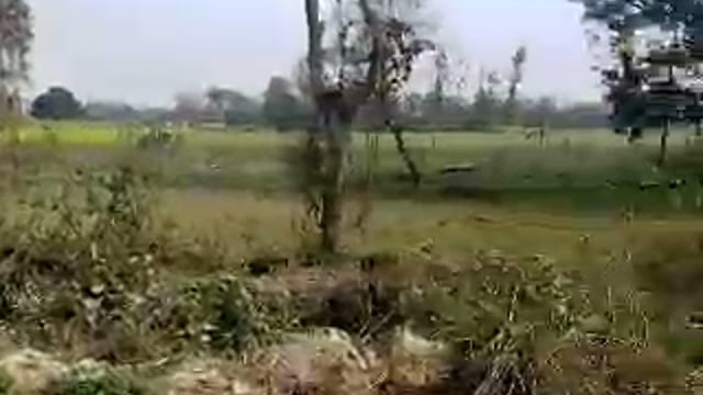 तरबगंज गोंडा सिगहा चंदा में लोक निर्माण विभाग के द्वारा संपन्न हुआ सड़क निर्माण कर ग्रामीणों में खुशी