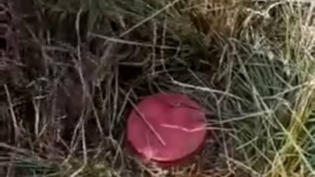 अवैध शराब को लेकर की गई छापेमारी में 12 लीटर देसी शराब बरामद, एक पर मामला दर्ज।