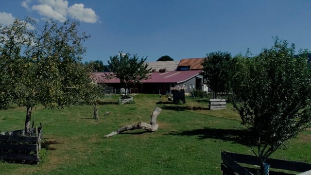 Nous Production (Nous Sàrl)