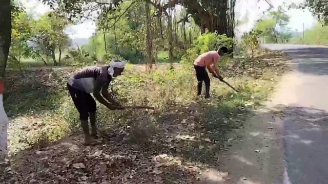 16 मार्च को मुख्यमंत्री के आगमन को लेकर थरथरी प्रखंड में साफ सफाई हुई शुर, सुरक्षा के रहेंगे पुख्ता इंतजाम।