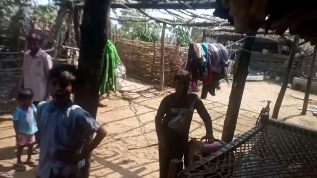 *यंदाही रंगपंचमी चा सन उत्साहात साजरा..!*