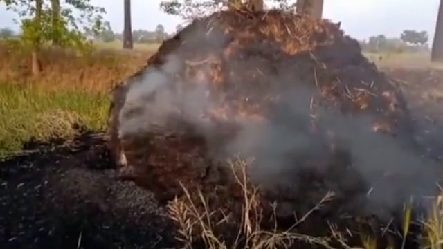 असामाजिक तत्व पुंज में लगाई आग।