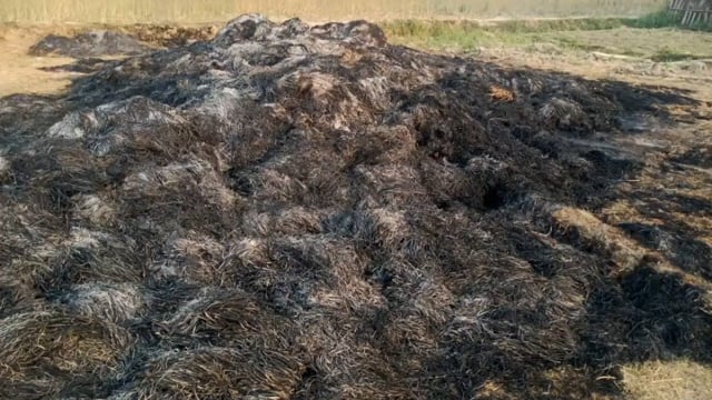 चानन  : मननपुर बस्ती बहियार स्थित खलिहान में आग लगने से पुंज जलकर राख ।