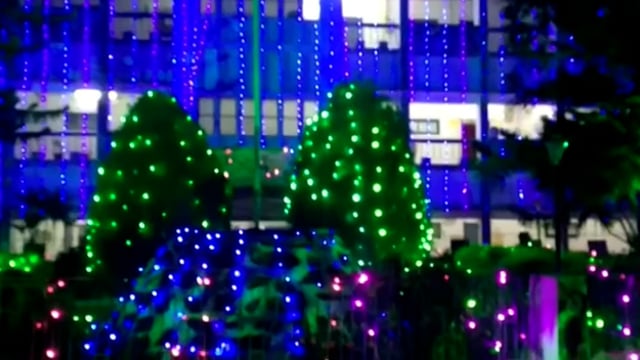 समाहरणालय परिसर को बिहार दिवस के अवसर पर सजाया गया।