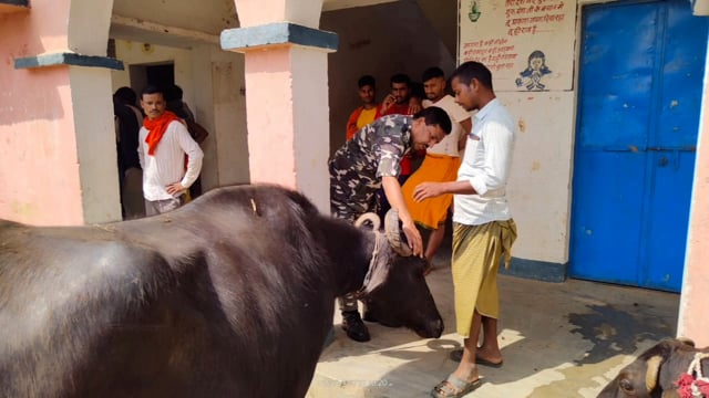 चानन  : एसएसबी कैम्प बननूबगीच के द्वारा सिघौल व तेतरिया गांव में लगाया नि:शुल्क पशु जांच शिविर ।