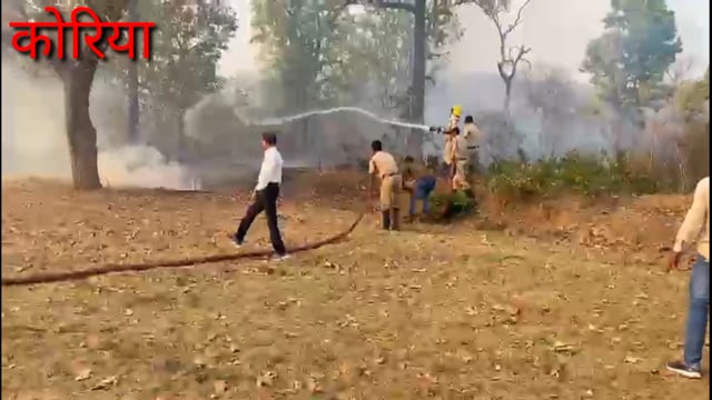 चरचा के जंगल में लगी आग फायर ब्रिगेड टीम ने आग पर घण्टों मशक्कत के बाद पाया काबू