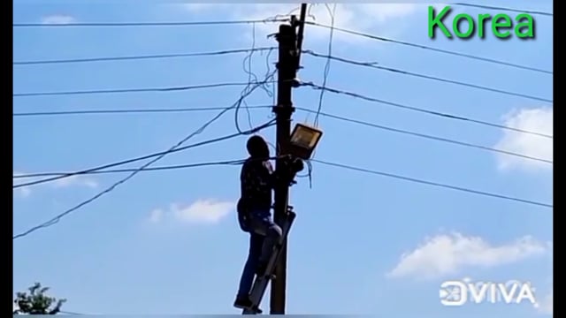 नगर पालिका अधिकारी के निर्देशानुसार शहर में स्ट्रीट लाइट का हुआ मरम्मत