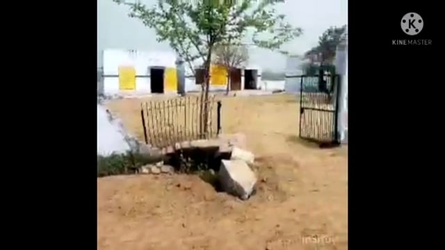 तरबगंज न्यूज़ ग्राम पंचायत चंदीपुर में प्रधान प्रतिनिधि के आर्थिक सहयोग से संपन्न हुआ मिट्टी पिटाई का कार्य