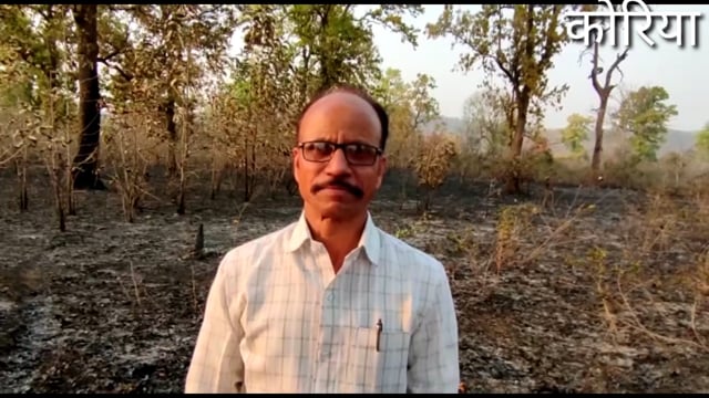 चर्चा जंगल में लगी आग को दमकल विभाग ने पाया काबू