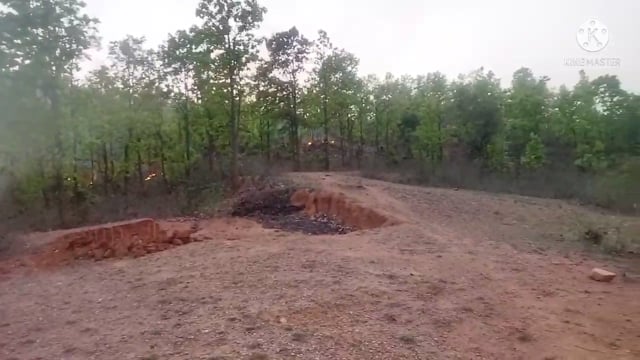 असामाजिक तत्वों ने फुल्लीडुमर प्रखंड के ढोढरी जंगल में लगाई आग, धू धू कर जल रहे जंगल