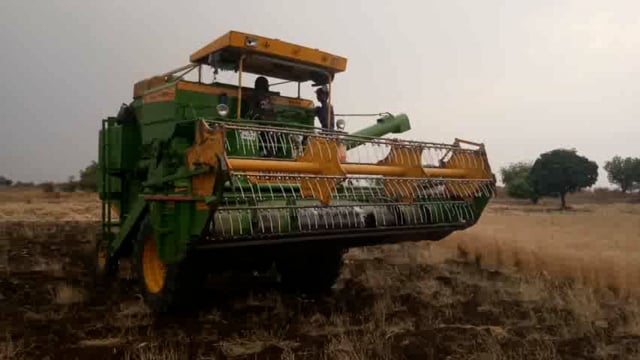 भारी धूप में किसान फसल की रास करने में जुटे है।साल भर की अनाज के लिए।