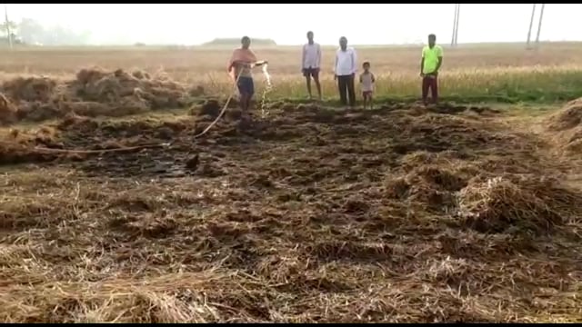 नरसन्द गांव में किसान के खलिहान में आग लगने से 50 हजार का हुआ नुकसान,मुआवजे की मांग उठी