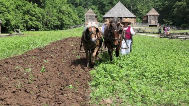 Plowing the Fields at Mount Vernon