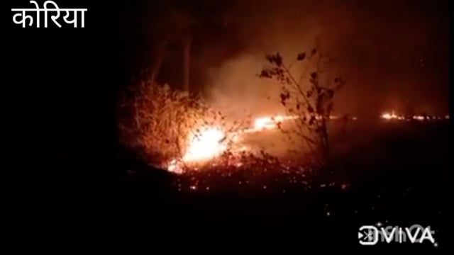 वन मंडल बैकुंठपुर के सोनहत जंगल में लगी आग अधिकारी मॉल