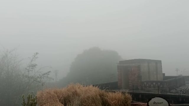 गर्मी के मौसम में लगा कोहरा।