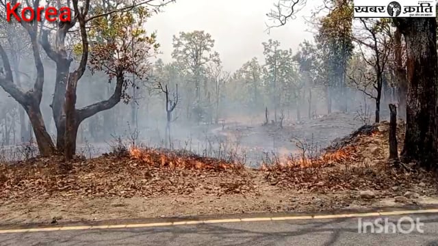 कोरिया वन मंडल के सोनहत जंगल में लगी आग, तबाह हो रहा है जंगल अधिकारी कुंभकरणी नींद में