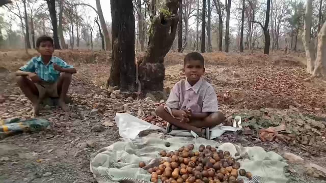 *टेम्बुर विकून शिक्षण करत आहेत ग्रामीण भागातील विद्यार्थी..!*