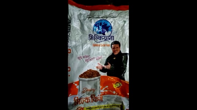 पशु आहार खाने से 70 से 80 गोवंश हुए फूड प्वाइजन के शिकार