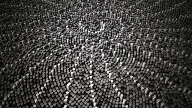 Phyllotactic Pattern video