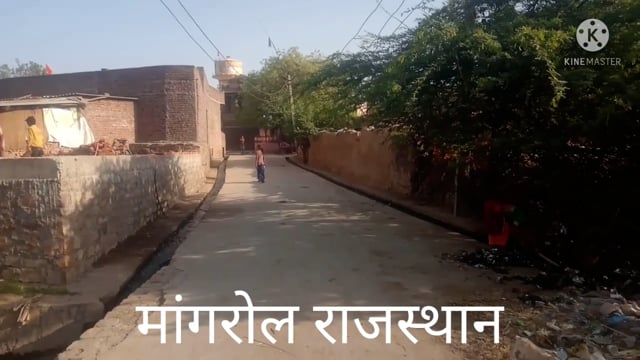 नाले की साफ-सफाई नहीं होने  से और कचरे का ढेर नहीं हटाने से पनप रहे मच्छर दे रहे बीमारियों न्योता