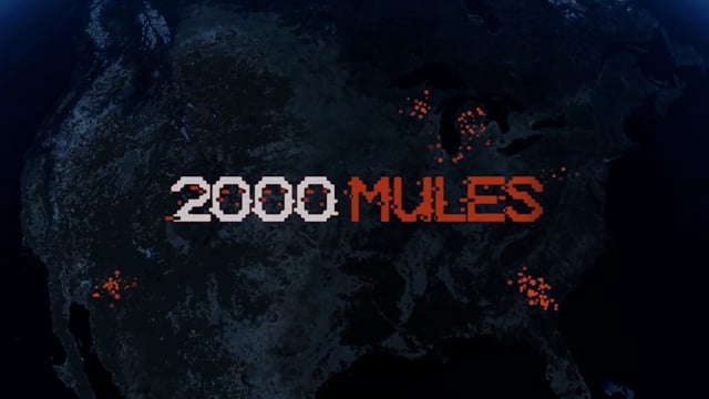 60_promo_—_45_2000_mules (1080p)
