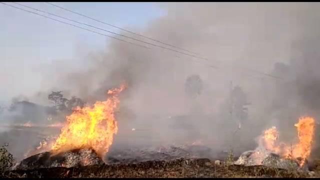 बोधि बिगहा गांव में खलिहानी में रखा दो बीघा सेअधिक खेसारी जलकर हुआ राख