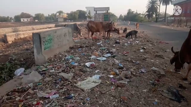 मांगरोल बमोरी कला रोड लगा गंदगी का ढेर नहीं दे रहे नगर पालिका प्रशासन ध्यान वार्ड पार्षद को कराया अवगत नहीं हुआ कोई 