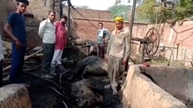 कोंच:-आग लगने से घर-गृहस्थी के सामान के साथ 2 भैंस, एक गाय भी जली, लाखों का हुआ नुकसान