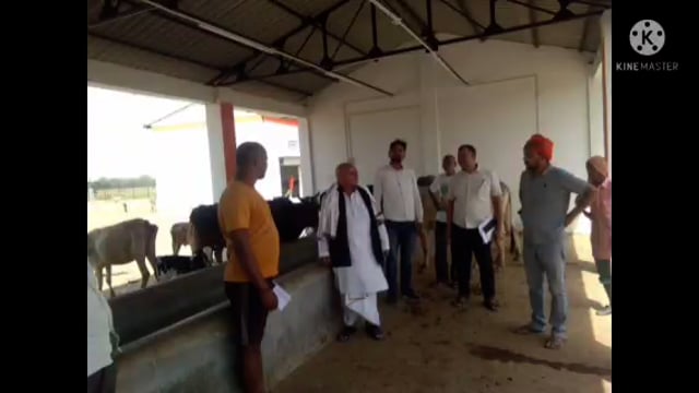 गोंडा न्यूज़ ग्राम पंचायत चंदीपुर में गौशाला का मनरेगा लोकपाल नंद कुमार तिवारी ने किया निरीक्षण