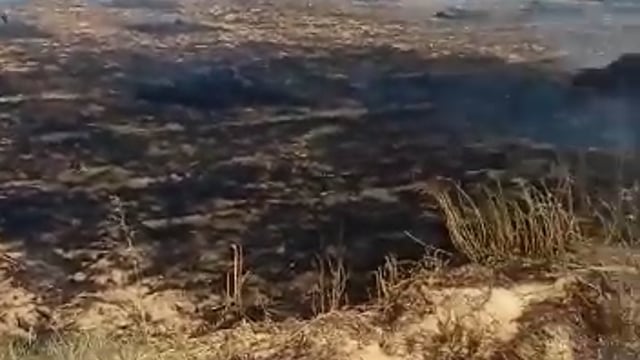  प्रतापगढ़ जिले के बिहार ब्लॉक के देवरी हरदो पट्टी में अज्ञात कारणों से तेज बहादुर यादव के खेत में लगी आग फसल हुई राख