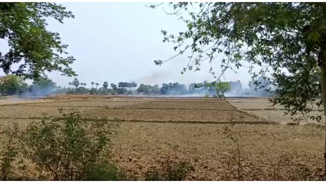 फसल अवशेष को जला रहे किसान