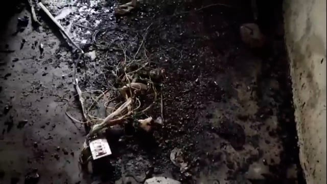 इतासंग गांव में मां सरस्वती टेन्ट हाउस के गोदाम में लगी आग,सारा सामान जलकर हुआ राख।