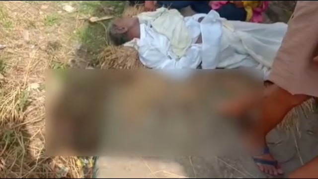 केमरा गांव में महुआ चुनने गए एक 70 वर्षीय वृद्ध की मधुमक्खी काटने से मौत