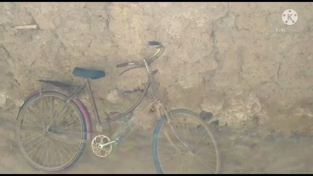 सीओ के जनता दरबार में कार्यवाही नहीं होने पर आवेदक एसडीओ एवं डीएम को आवेदन देखकर अतिक्रमण हटाने की गुहार लगाई