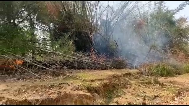 सबलपुर पंचायत मैं सुखनिया नदी किनारे लगे बांसबेड़ा में लगी भीषण आग