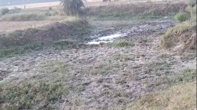 रहुई प्रखंड के गांव में पैन का पानी सूखने से किसान परेशान।