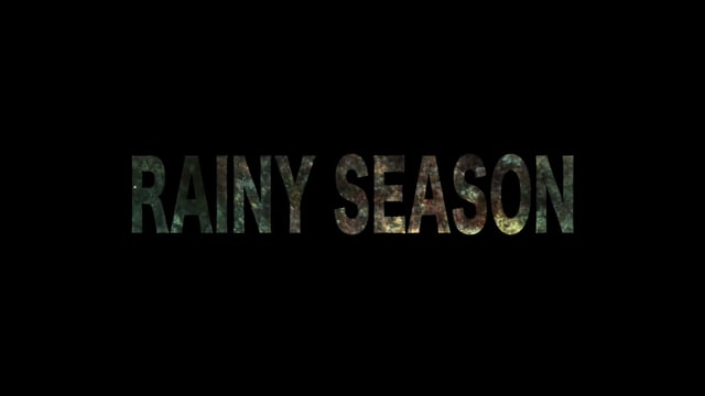 Rainy Season