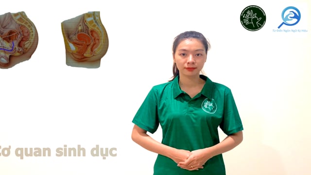 co-quan-sinh-duc-7549