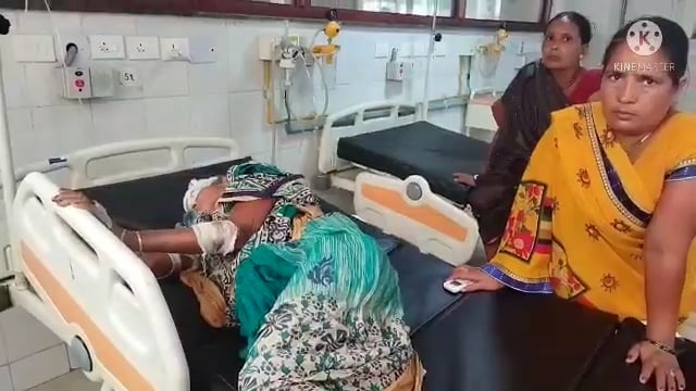 गिरीयक :सड़क दुर्घटना में महिला हुई घायल , विम्स में कराया गया भर्ती