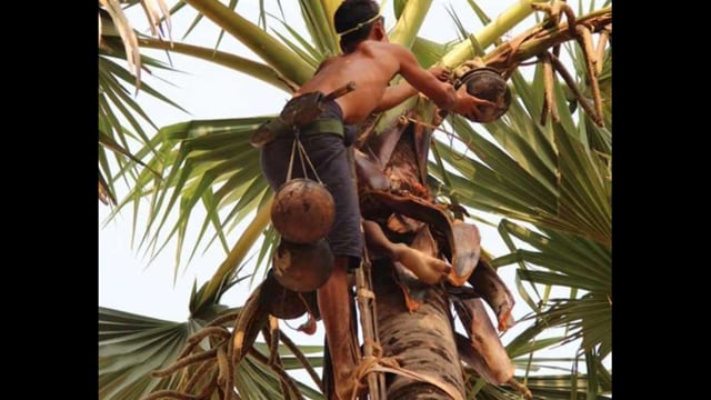 ताड़ी पीने को लेकर विवाद में युवक का देशी कट्टा लहराने की वीडियो सोशल मीडिया पर हुआ वायरल,विसुनपुर गॉव की घटना