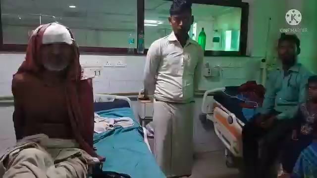 पेड़ काटनें के दौरान हुई घटना में जख्मी हुए अधेड़ , विम्स में कराया गया भर्ती