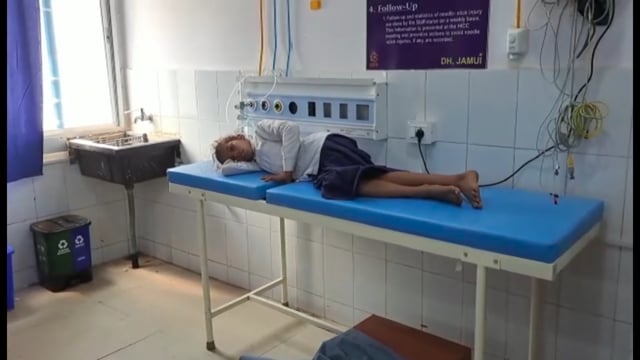 चिनवेरिया में एक बच्ची को सांप ने काटा, परिजन इलाज के लिए अस्पताल में कराया भर्ती