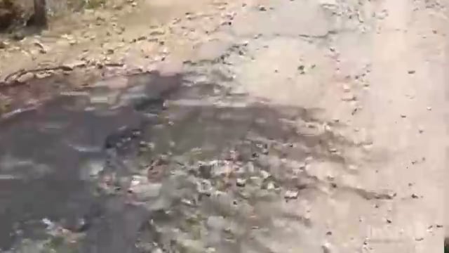 चिमूर तालुक्यातील वहानगाव ते खुरसापार रस्त्याचे डांबरीकरण करा प्रहार सेवक विनोद उमरे यांची मागणी