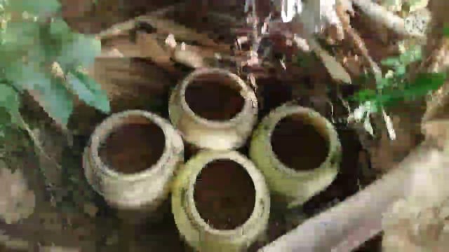 पुलिस की लाख कोशिश के बाद भी जंगली क्षेत्र में अवैध महुआ शराब बिक्री की धूम