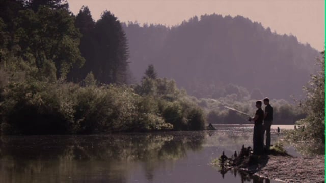 Redwoods Trailer