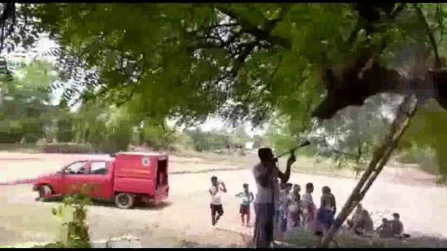 मुंजहर में नीम के पेड़ में अचानक अगलगी,फायर बिग्रेड पहुंची गांव