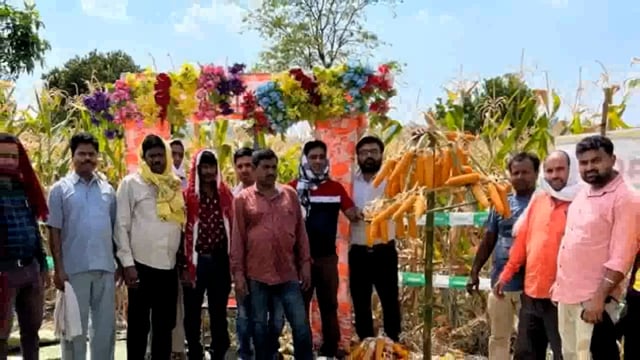 महिको कंपनी द्वारा परोलकोट क्षेत्र के किसानों किया गया सम्मान